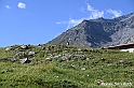 VBS_1 -  Plateau du Mont-Cenise, Grand Croix, Marmotte_-_0105 mt